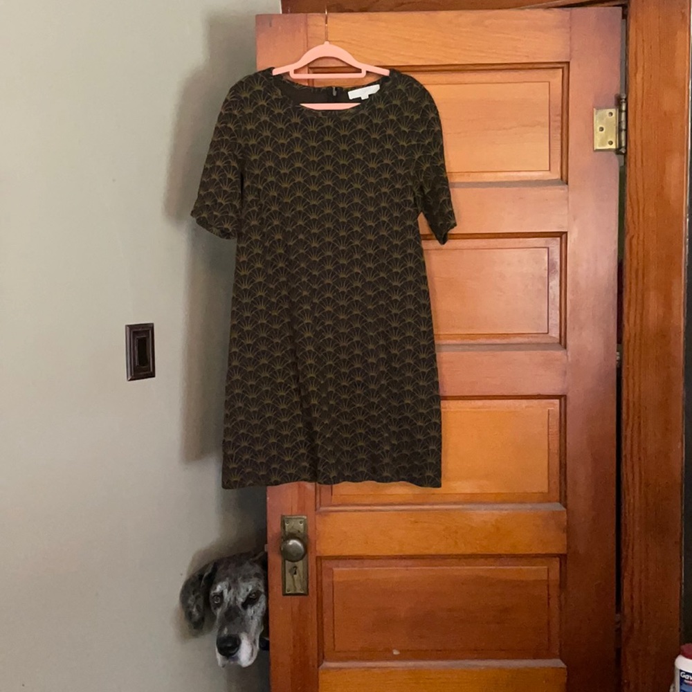 LOFT Zip Back Olive/Navy Shift Dress Size Large